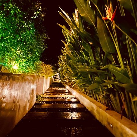 ホテル Moringa ミリッサ エクステリア 写真