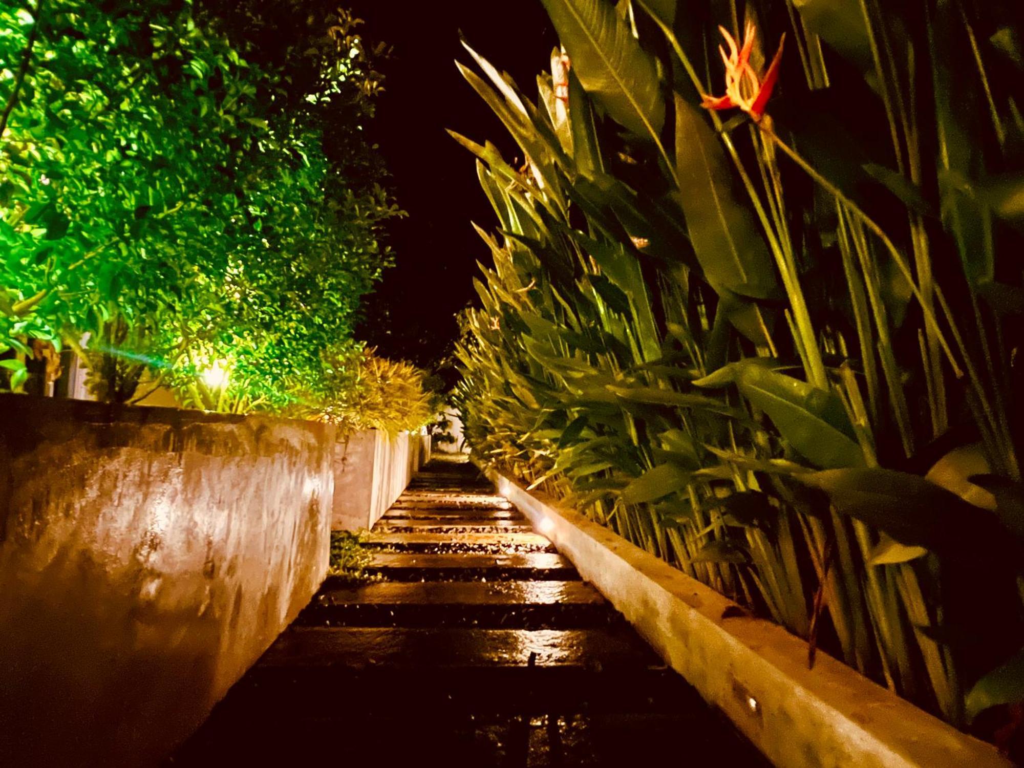 ホテル Moringa ミリッサ エクステリア 写真